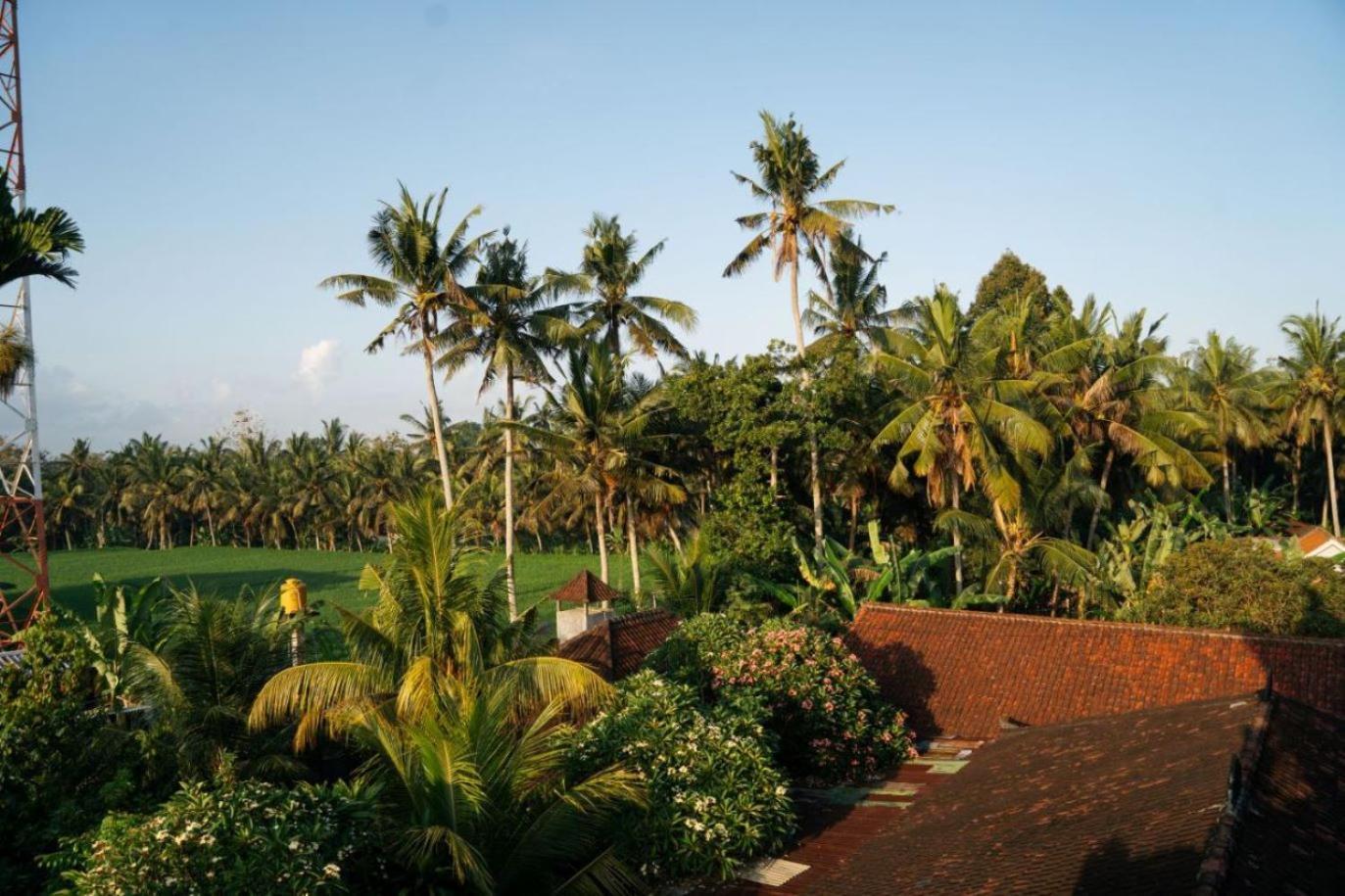 Ubud Backpacker Hostel Exteriér fotografie